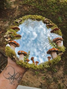 a person's hand holding up a mirror with mushrooms and moss growing on it