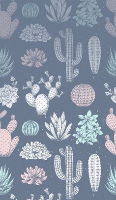 cactus and succulents on a blue background