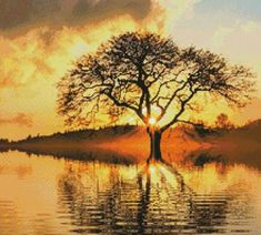 a painting of a tree with the sun setting in the background and water reflecting it's reflection