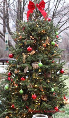 a small christmas tree with ornaments and bows on it's branches in a yard