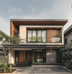 a modern house with lots of windows and plants