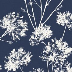 Dandelion Fields Wallpaper in Navy Blue from Etten Gallerie for Seabrook Cottage Bedrooms, Ed Wallpaper, Field Wallpaper, Drops Patterns, Botanical Wallpaper, Wallpaper Direct, Water Colors, Burke Decor, Modern Aesthetic