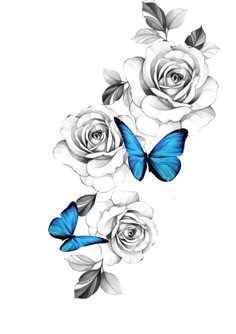 some white roses and two blue butterflies on a white background with the same color as the flowers