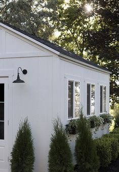 a white shed with windows and plants growing on the side