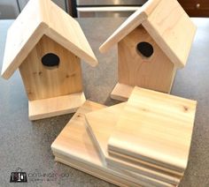 two wooden bird houses sitting on top of a counter