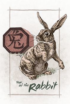 a drawing of a rabbit sitting in front of a sign with the word year of the rabbit on it