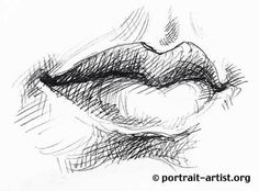 a pencil drawing of a woman's lips