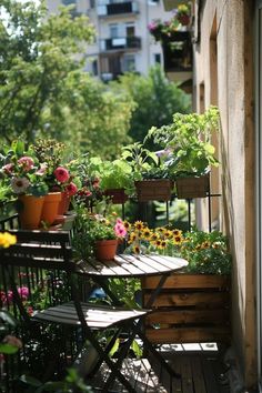 the balcony is full of potted plants and flowers