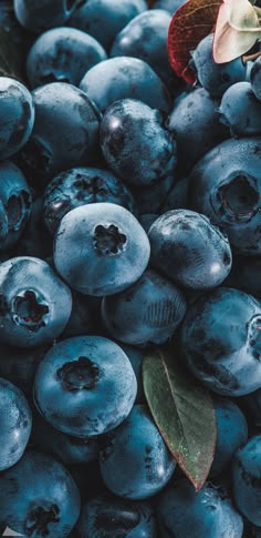 blueberries are piled up with leaves and flowers