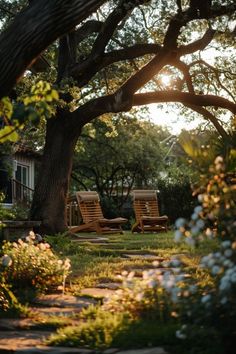 two wooden lawn chairs sitting under a tree