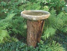 a bird bath sitting on top of a tree stump