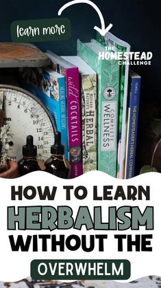 Dive into the world of herbal wisdom with our selection of the 7 Best Books on Herbalism for Beginners! 📚 These must-reads offer a comprehensive yet approachable guide to understanding and using herbs for health and wellness. Perfect for those starting their journey into herbal remedies and natural healing. These books are a treasure trove of knowledge without the overwhelm. #HerbalismBooks #BeginnerHerbalist #NaturalRemedies #HomesteadLearning #HerbalHealing #WellnessReading Learn Herbalism, Herbalism For Beginners, African Herbs, Herbal Education, Herbal Medicine Recipes, Herbal Remedies Recipes, Diy Herbal Remedies, Medicinal Herbs Garden, Magic Herbs