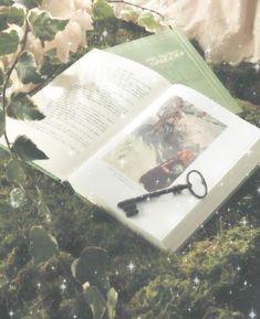 an open book sitting on top of a lush green field next to a pair of scissors