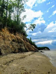 a sandy beach next to the ocean under a blue sky with white clouds and trees