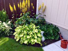 a garden with green and yellow flowers next to a brown fence in the back yard