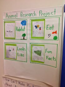 an animal research project is displayed on the wall