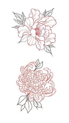 two flowers that are drawn in red and black ink