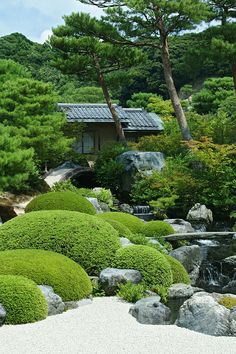 Adachi Museum, Japanese Style Garden, Small Japanese Garden, Japanese Garden Landscape, Japanese Zen Garden, Zen Gardens, Japan Garden, Japanese Garden Design, Asian Garden