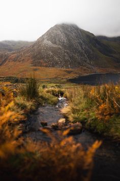 a small stream running through a lush green field next to a tall mountain covered in snow