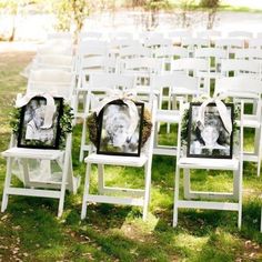 white folding chairs with pictures on them are set up in the grass for an outdoor ceremony