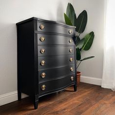 a black chest of drawers sitting on top of a wooden floor next to a potted plant