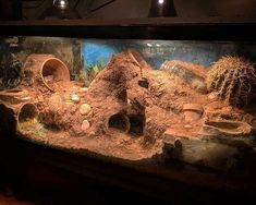 an aquarium filled with lots of dirt and rocks