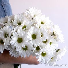 a person holding a bouquet of white flowers