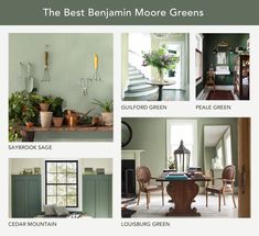 the best behann more greens colors for living room and dining room decorating