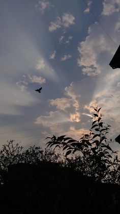 a bird flying in the sky over some trees and bushes at sunset or dawn with sun rays coming through clouds