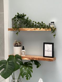 two wooden shelves with plants on them and a framed photo in the corner next to it