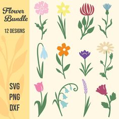 flower bundle 12 designs - svg, png, dxf example image