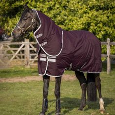 a horse wearing a blanket standing in the grass