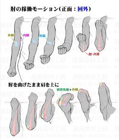 an image of different muscles and their functions in the body, with chinese writing on it