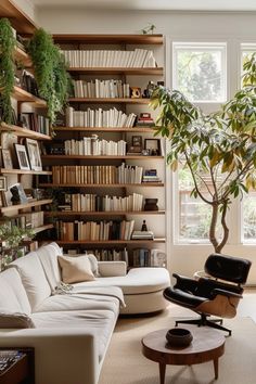 a living room filled with furniture and bookshelves next to a large potted plant