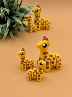 small yellow giraffes with brown spots on their faces and legs, standing in front of a plant