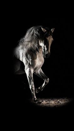 a horse is running in the dark with its head turned to the side and it's legs spread out