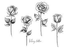 three roses are shown in black and white