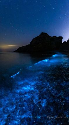 the water is glowing blue and it looks like stars in the sky above some rocks