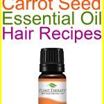 Carrot Plant, Essential Oil For Skin, Carrot Seed Essential Oil, How To Plant Carrots, Glow Toner, Wild Carrot