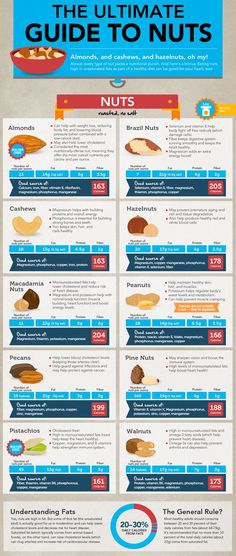 infographic-nuts Nutrition Chart, Healthy Nuts, Vegan Nutrition, Heart Healthy Recipes, Lower Cholesterol, Nutrition Information, Healthy Nutrition, 10 Pounds