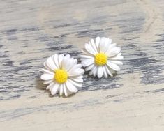 Cute White 3d Flower Earrings, Cute White Flower Earrings With 3d Flowers, Cute White Flower Earrings With 3d Detail, Cute White Flower Earrings With 3d Design, Tiny White Dainty Flower Earrings, White Daisy-shaped Hypoallergenic Flower Earrings, Daisy Studs, Spokane Wa, Daisy Earrings