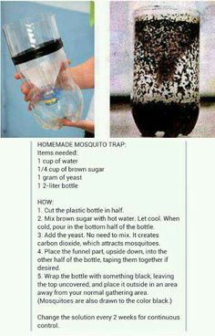 the instructions for how to make a homemade mosquito trap with water and liquid in it