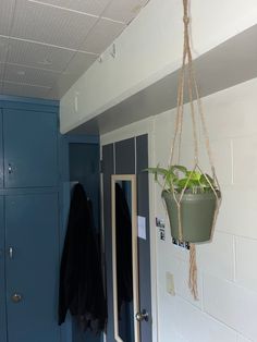 a plant hanging from the ceiling in a room with blue doors and cabinets behind it