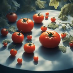 several tomatoes on a table with leaves around them