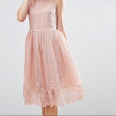 Pink/Blush Dress, Never Worn (Not Returned In Time). Perfect Condition Sheer Sleeveless Elegant Dress For Spring, Sleeveless Midi Dress For Spring Wedding, Spring Wedding Sleeveless Midi Dress, Chic Pleated Midi Dress For Bridesmaids, Chic Bridesmaid Sleeveless Dress For Spring, Feminine Sheer Dress For Spring, Feminine Sheer Sleeveless Dresses, Sheer Feminine Dress For Spring, Spring Sheer Lace Midi Dress