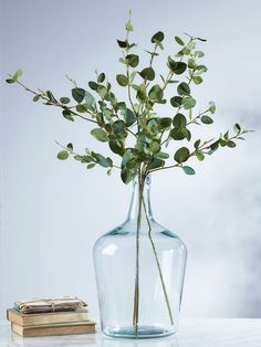 a vase filled with green leaves sitting on top of a table next to a stack of books