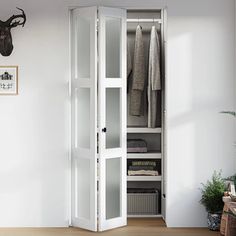 an open closet with clothes hanging on the wall and a deer head mounted to the wall