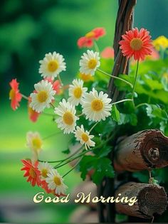 a bouquet of daisies and other flowers in a basket with the words good morning on it