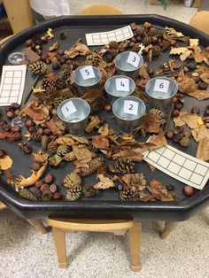 a tray filled with cups and leaves on top of a table next to numbers in the middle