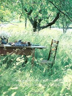 an old table and chair sitting in tall grass